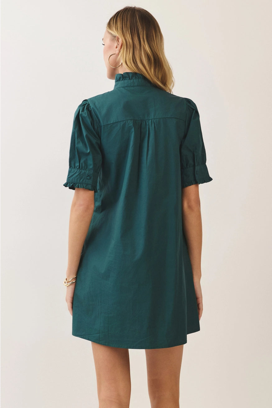 Ruffle Neck Puff Sleeve Dress