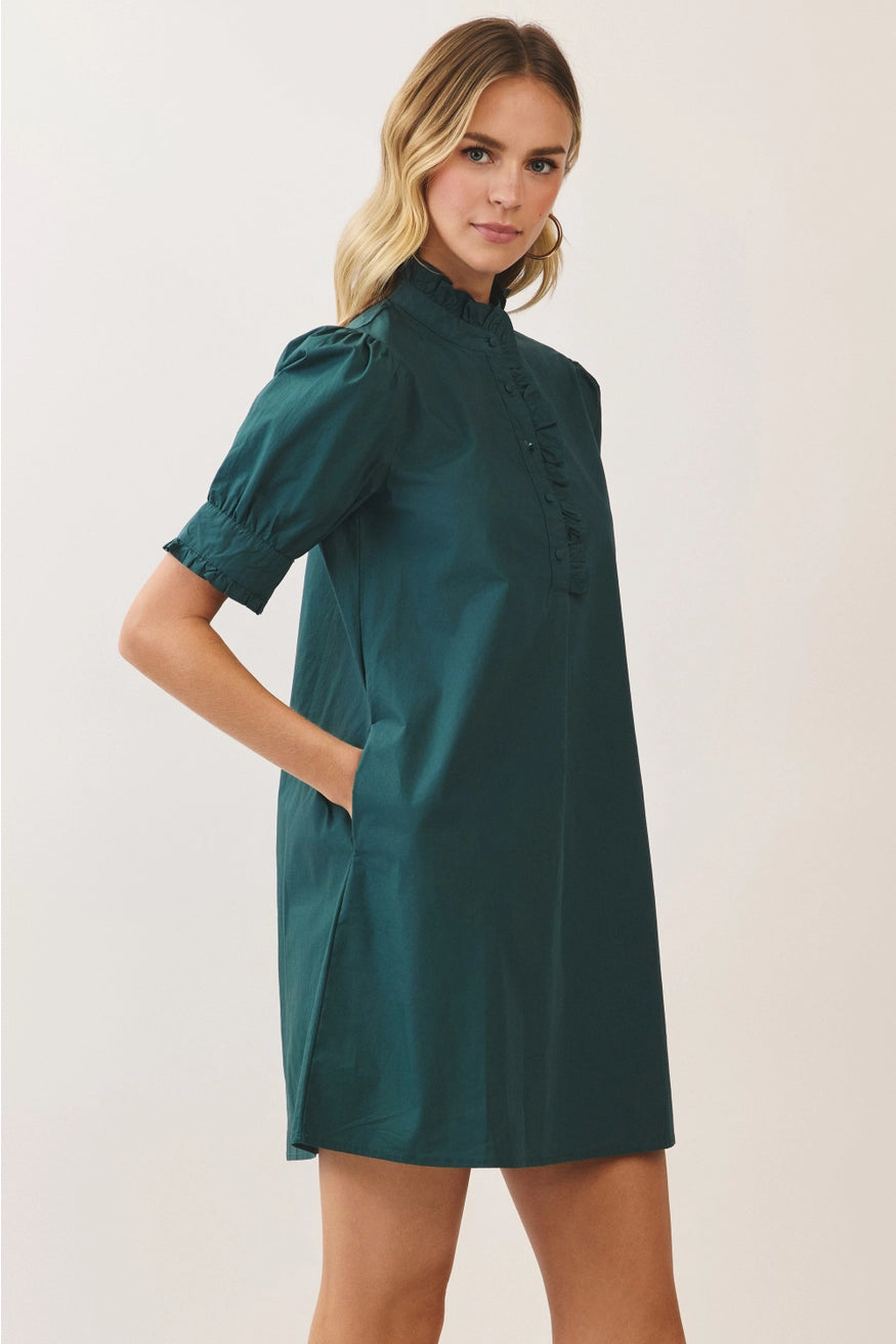 Ruffle Neck Puff Sleeve Dress